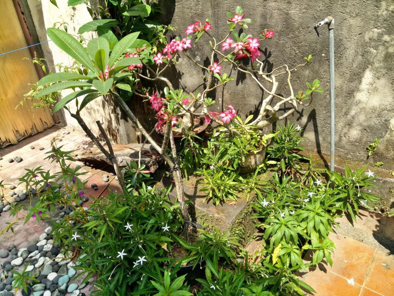 Suandi House Bed & Breakfast Ubud Dış mekan fotoğraf